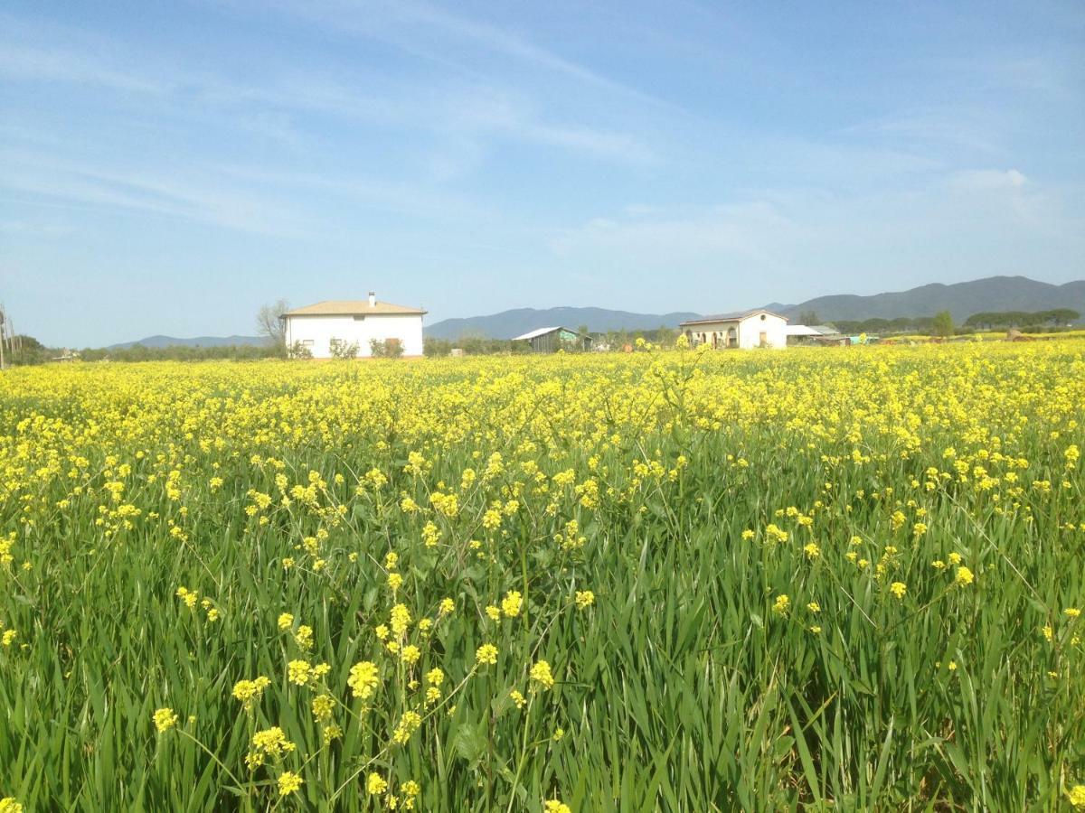 Marrucheto Il Grano Di Bramanteヴィラ エクステリア 写真